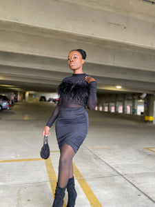 Sheer Foxy black feather Top