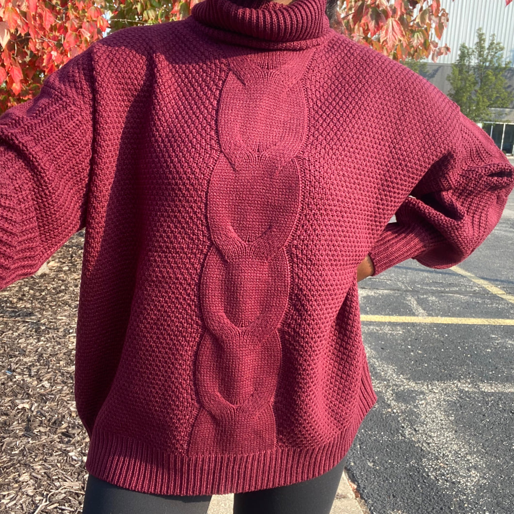 Turtleneck Cable Knit Sweater